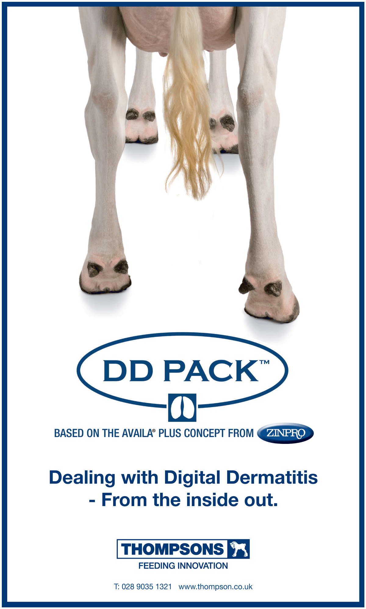 Digital Dermatitis winter 2014